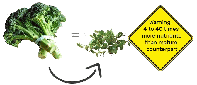 Nutrients found in Microgreens