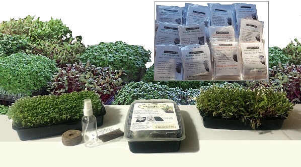 12 in One Microgreen Kit